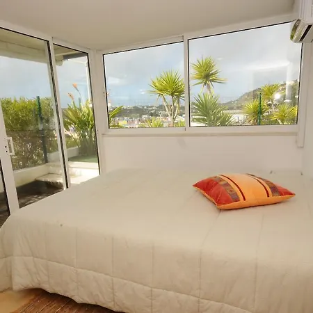 Okapi Αλμπουφέιρα